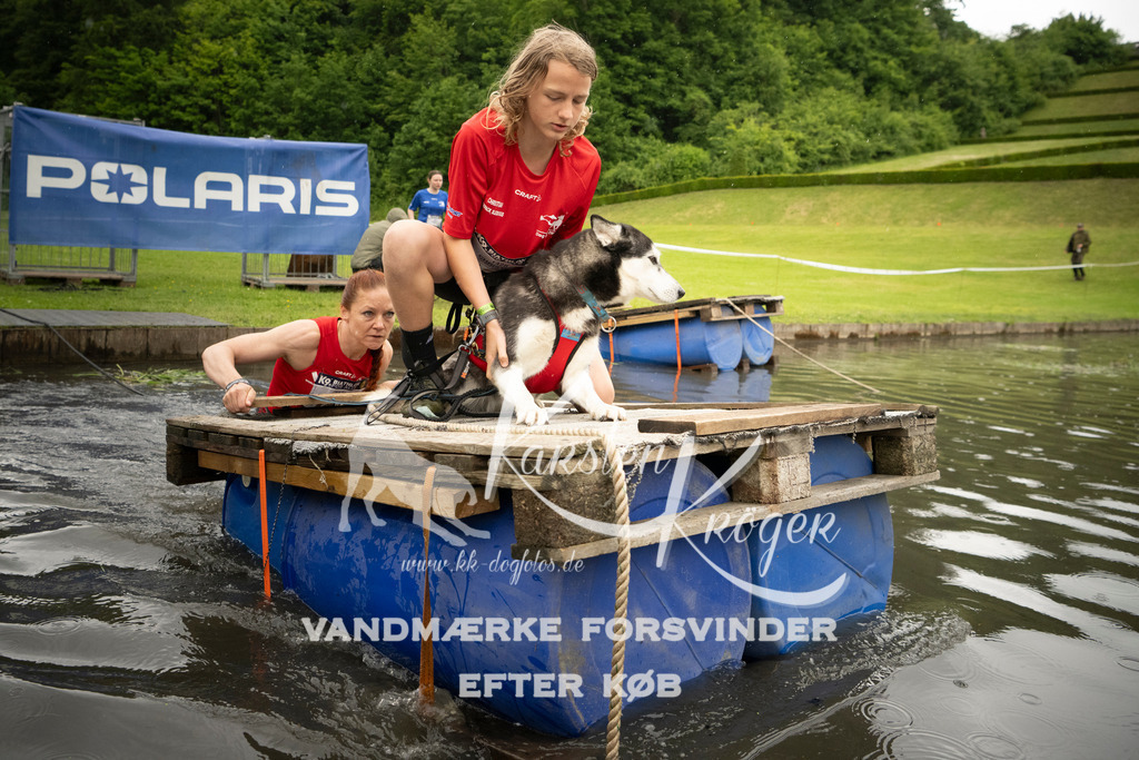 1200_ZZ96293 | kk-dogfotos