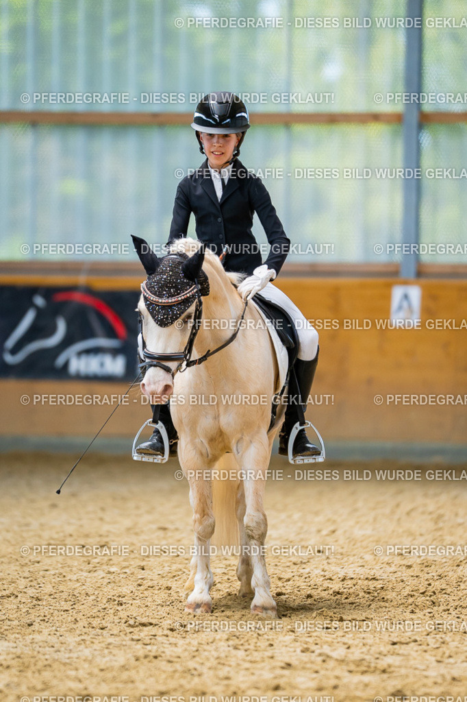 DSC09179 | Pferdegrafie