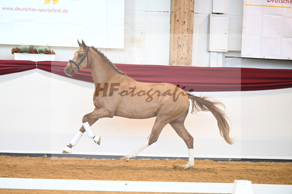 Kat-Nr. 56 v. Vivaldos_Fischer_66220863 | hf-fotografie - Realisiert mit Pictrs.com