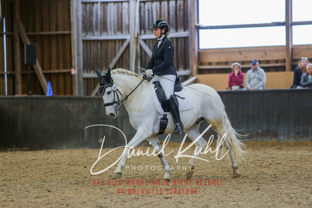 IMG_0511 | Turniersportfotografie; Pferdefotografie; Dressurfotografie