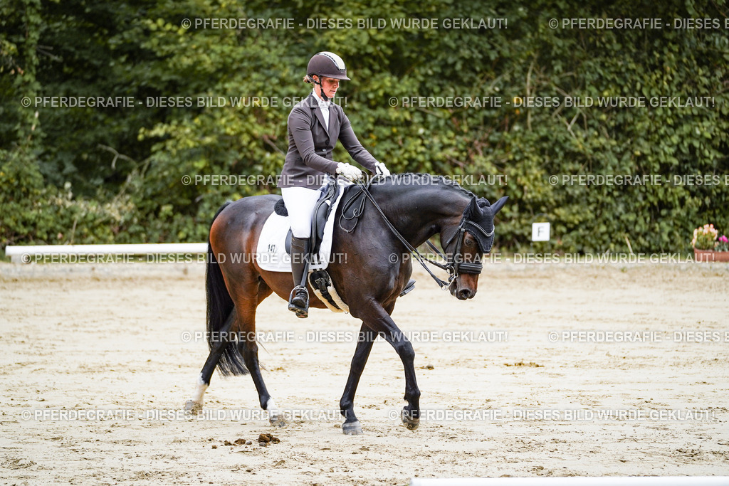 DSC08746 | Pferdegrafie