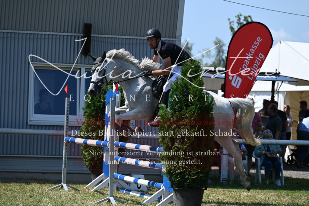 DSC_0693 | Pferde- und Turnierfotografie in Westsachsen. Pferdeportraits, Auftragszeichnungen und intuitive Kunst.
