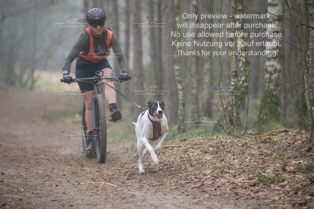 Scooter1-17 | stephaniefillaphotographie - Realisiert mit Pictrs.com