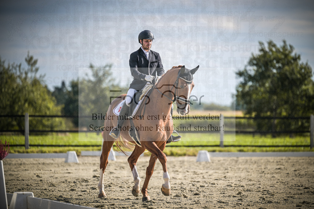 DOS_0612 | Entdecke hochwertige Reitturnierfotos von Foto Oger. Professionell, emotional und authentisch – jetzt Lieblingsmomente im Shop bestellen.Deutschlandweite Turnierfotografie. - Realisiert mit Pictrs.com