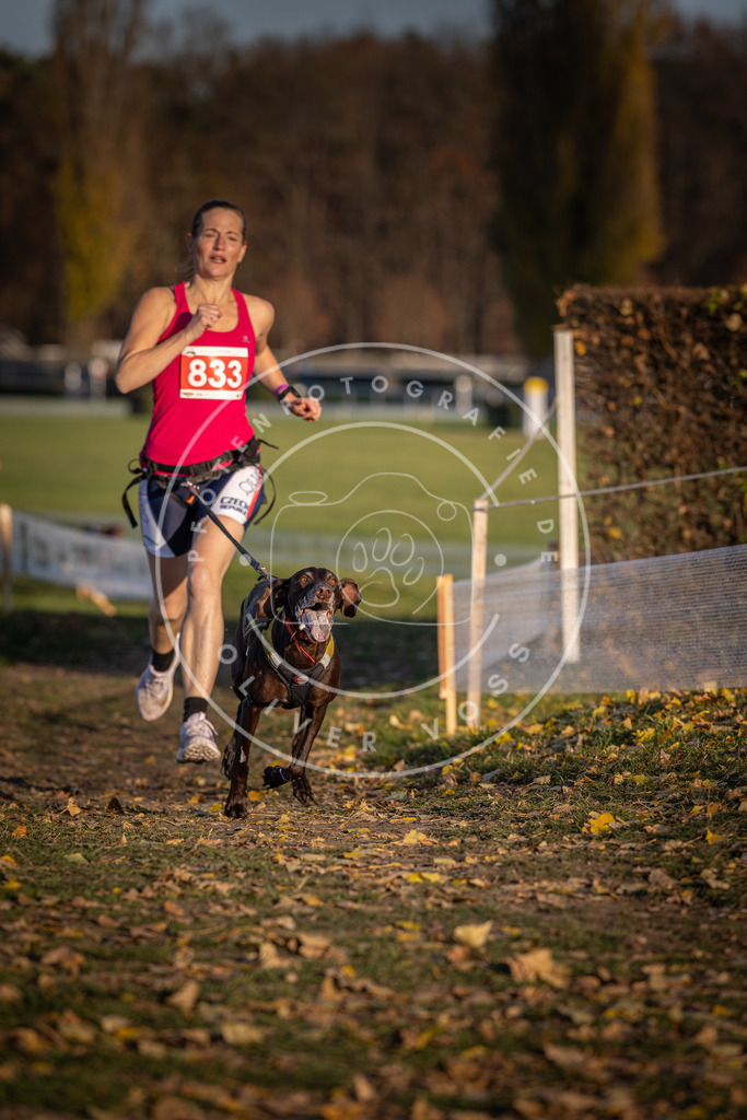 CaniXpix_DV3A3474 | Hundefotografie, Tierfotograf, Pfotenfotografie, Fotoshooting Hund, Hunde Portrait, Hundesport, Hundeportraits, Heideshooting, Hunde, Sportfotograf, Hundefotograf, Turnierhundsport, THS,  - Realisiert mit Pictrs.com