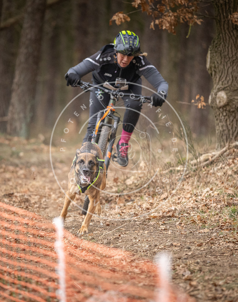 Pfotenfotografie_DV3A1777 | Hundefotografie, Tierfotograf, Pfotenfotografie, Fotoshooting Hund, Hunde Portrait, Hundesport, Hundeportraits, Heideshooting, Hunde, Sportfotograf, Hundefotograf, Turnierhundsport, THS,  - Realisiert mit Pictrs.com