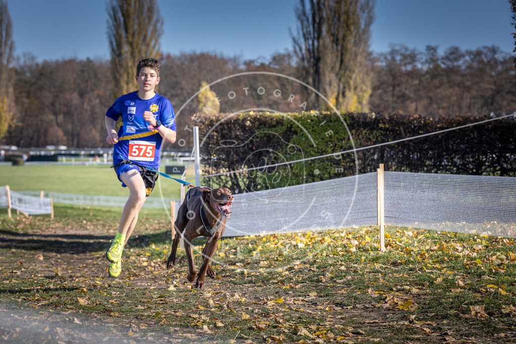 CaniXpix_DV3A8955 | Hundefotografie, Tierfotograf, Pfotenfotografie, Fotoshooting Hund, Hunde Portrait, Hundesport, Hundeportraits, Heideshooting, Hunde, Sportfotograf, Hundefotograf, Turnierhundsport, THS,  - Realisiert mit Pictrs.com