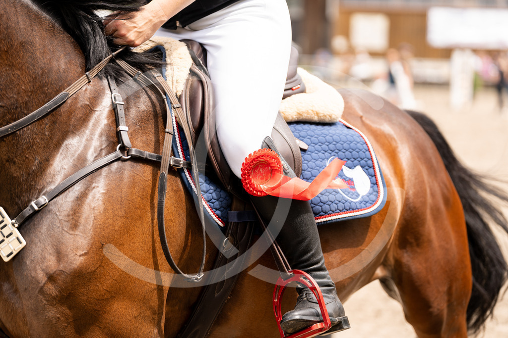 DSC02820 | Carolin Gieschke