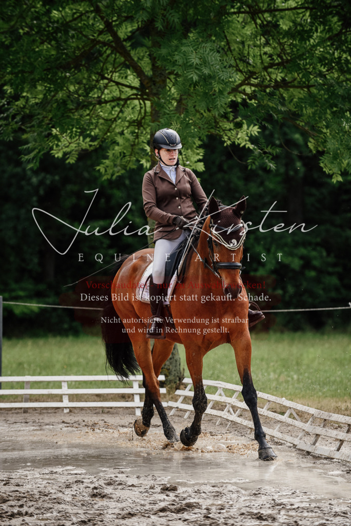 DSC_9492 | Pferde- und Turnierfotografie in Westsachsen. Pferdeportraits, Auftragszeichnungen und intuitive Kunst.