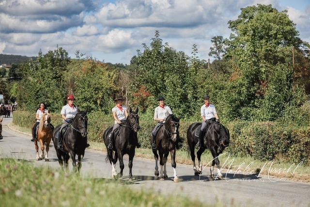 7V6A1056 | natalia-nirschl-photography