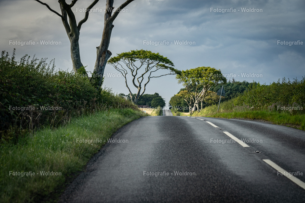 20230815 Isle of Sky - St.Andrews - Dundee-151 | Fotografie Woldron
