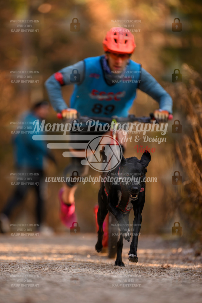 MompixPhotography_DM_AKDM_SO_2025_Scooter-182 | PayLife