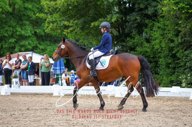 DKP46275 | Turnierfotos kaufen im Webshop von Daniel Kuhl Photography – entdecke professionelle Reitsportfotos aus Turnieren & Events. Hochwertige Turnierbilder online bestellen & sichern. Jetzt Fotos von Reitsportturnieren kaufen!