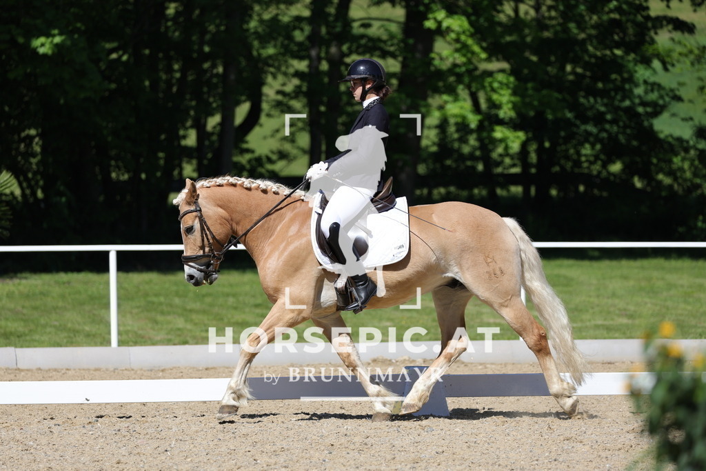 0P6A1668 | Willkommen bei Brunnmayr - Design & Fotografie – Ihrem Spezialisten für Reitturniere und Pferdeveranstaltungen in Oberösterreich, Salzburg und Bayern! Seit über 17 Jahren sind wir leidenschaftlich dabei.
