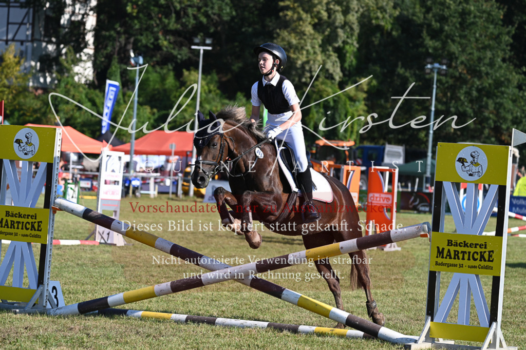 DSC_5013 | Pferde- und Turnierfotografie in Westsachsen. Pferdeportraits, Auftragszeichnungen und intuitive Kunst.