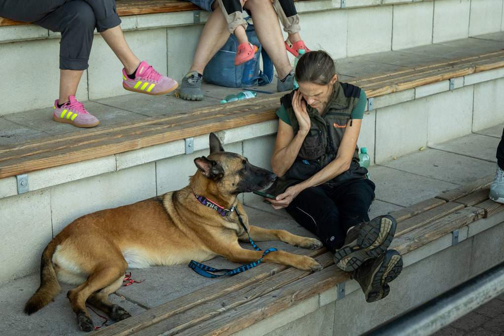 Pfotenfotografie_DV3A4181-2 | Hundefotografie, Tierfotograf, Pfotenfotografie, Fotoshooting Hund, Hunde Portrait, Hundesport, Hundeportraits, Heideshooting, Hunde, Sportfotograf, Hundefotograf, Turnierhundsport, THS,  - Realisiert mit Pictrs.com