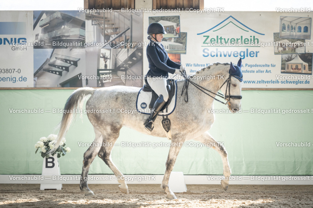 _D5A2664 | Emotionale Pferde- & People-Fotografie rund um Heidelberg, Leimen & Umgebung. Natürliche Fotos von Pferd, Mensch & Familie. Jetzt Termin sichern!