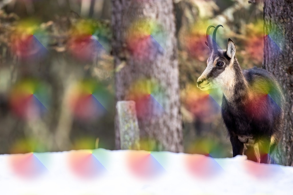 1M5A2612 | FineArtPrint, Hahnemühle, FeeGalerie, Fee Galerie, Fotokunst, Fotografie, Canonphotography, Bergfoto, Matterhorn, Rimpfischhorn, Allalinhorn, Saas-Fee, Wallis, Valais, Switzerland, Bergfotografie