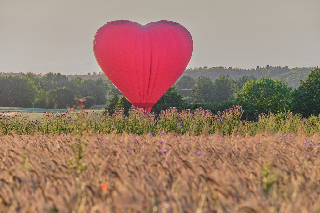 DSCF4574 | Entdecken Sie hochwertige Fotoprodukte für Ihr Zuhause, Büro oder als besonderes Geschenk.rpixel.de bietet Ihnen exklusive Fotografien aus den Bereichen Natur, Landschaft und Motiven vom Meer.Einfach direkt im Online-Shop bestellen. - Realisiert mit Pictrs.com