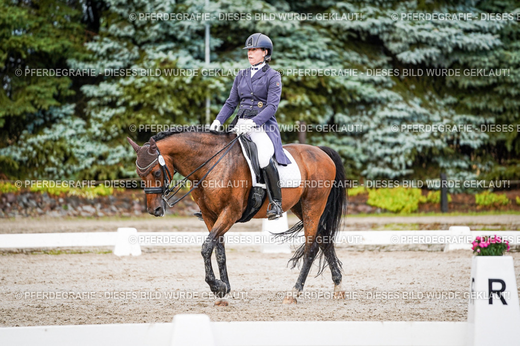 DSC00286 | Pferdegrafie