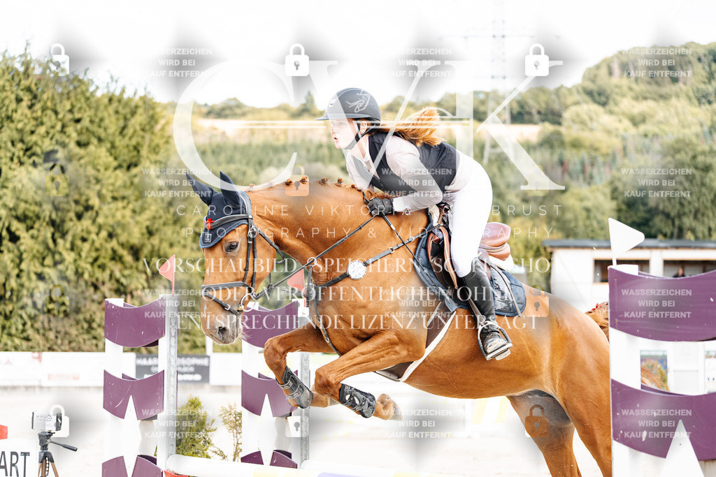 CK902254 | Turnierfotografie Pferdefotografie Trier Rheinland-Pfalz Pferdesport Reitsport Tierfotografie Sportfotografie Pferdevideo Pferdevideografie Equestrianvideography equestrianphotography  - Realisiert mit Pictrs.com