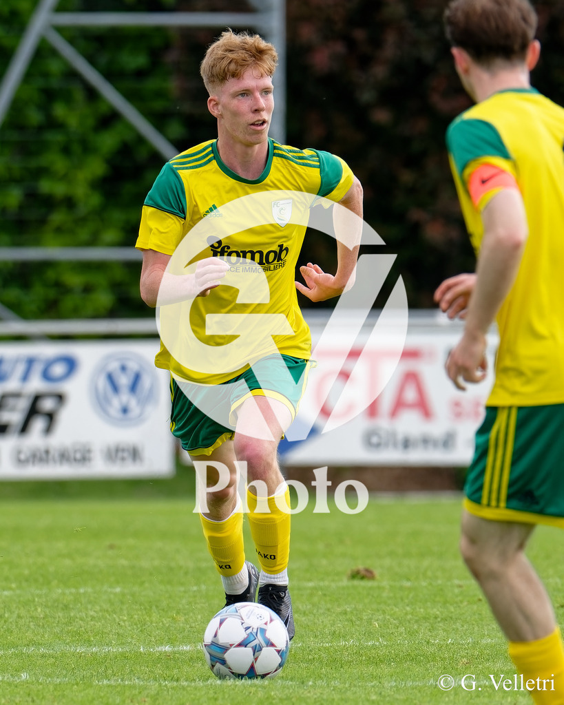 DSC_3825 | Velletri Photo