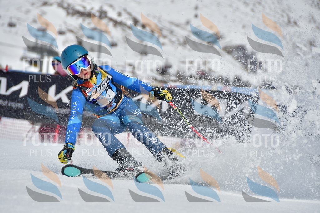 _DSC6990 | holidayphoto