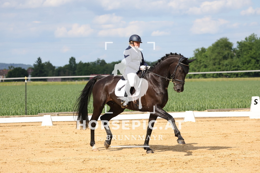 0P6A9088 | Willkommen bei Brunnmayr - Design & Fotografie – Ihrem Spezialisten für Reitturniere und Pferdeveranstaltungen in Oberösterreich, Salzburg und Bayern! Seit über 17 Jahren sind wir leidenschaftlich dabei.