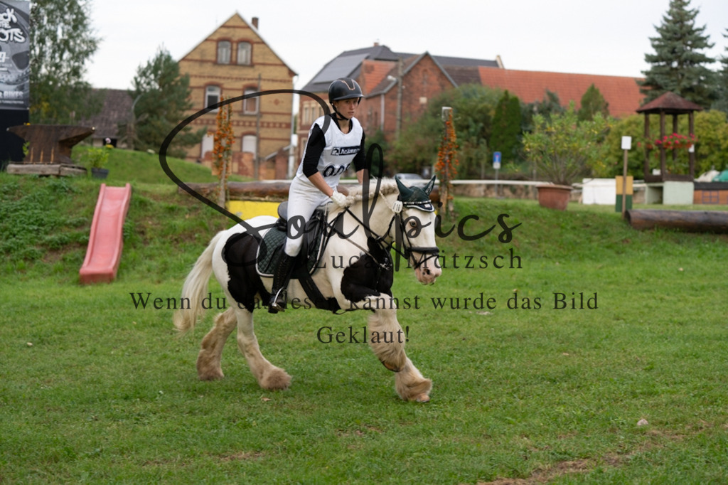 A7V02897 | Turnier/Reitfotograf