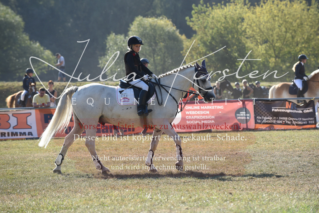 DSC_5710 | Pferde- und Turnierfotografie in Westsachsen. Pferdeportraits, Auftragszeichnungen und intuitive Kunst.