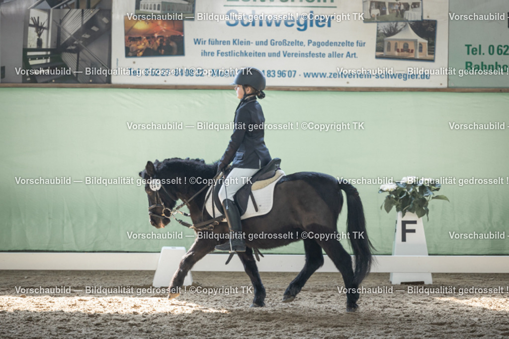 _D5A8909 | Emotionale Pferde- & People-Fotografie rund um Heidelberg, Leimen & Umgebung. Natürliche Fotos von Pferd, Mensch & Familie. Jetzt Termin sichern!