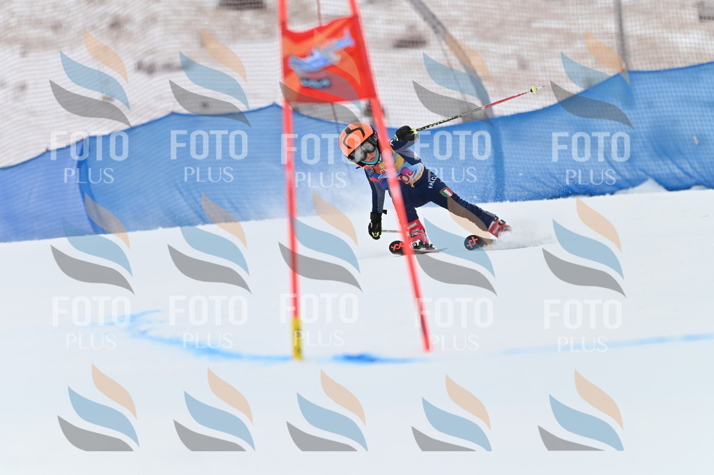 BGV_9384 | holidayphoto