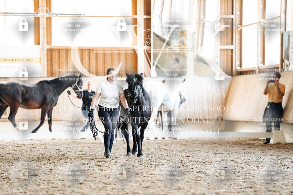 CK907924 | Turnierfotografie Pferdefotografie Trier Rheinland-Pfalz Pferdesport Reitsport Tierfotografie Sportfotografie Pferdevideo Pferdevideografie Equestrianvideography equestrianphotography  - Realisiert mit Pictrs.com