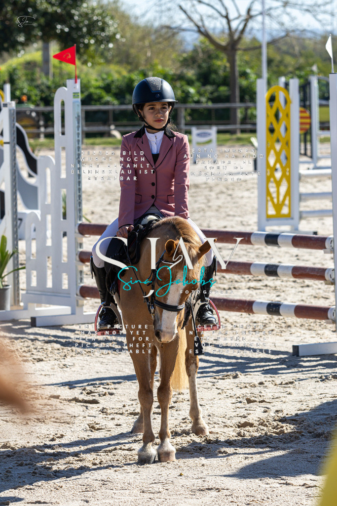 IMG_8841 | s-jay-photography - Realisiert mit Pictrs.com