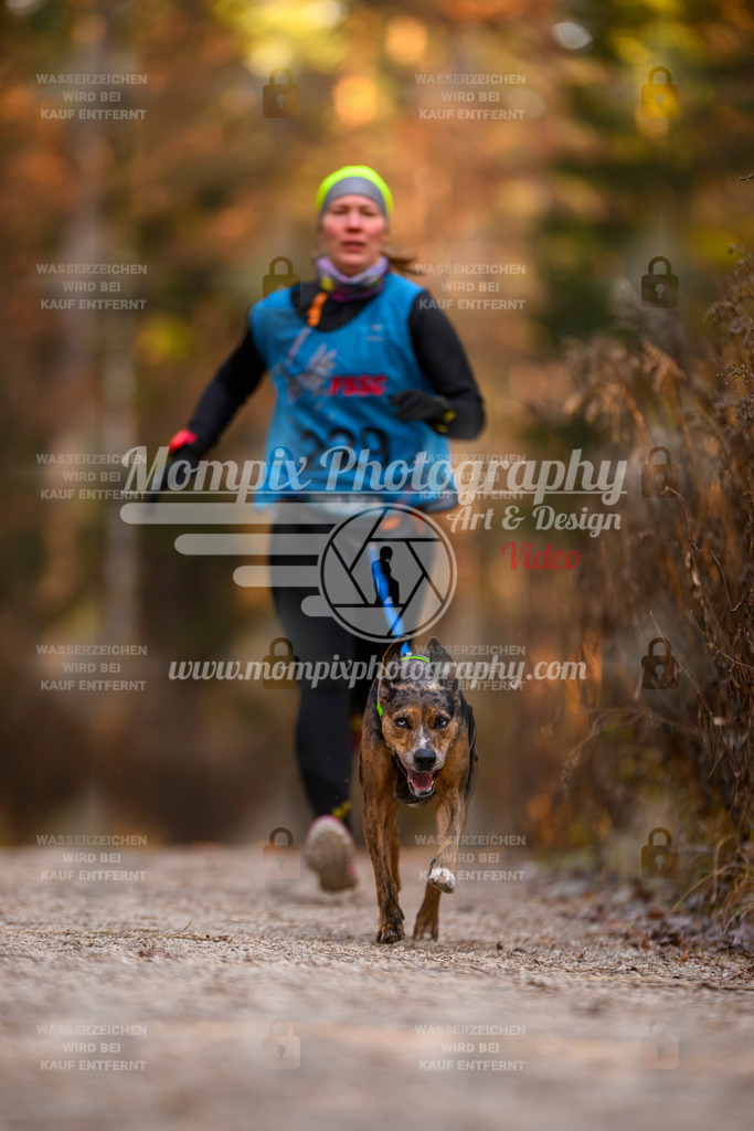 MompixPhotography_DM_AKDM_SO_2025_-76 | PayLife