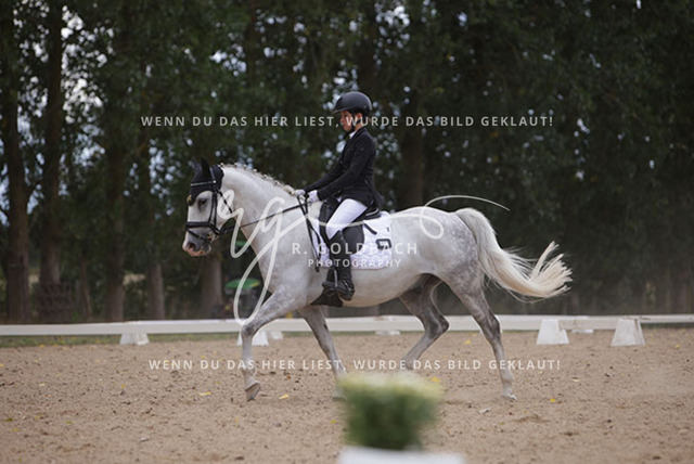 1J2A0842Charlotte Fehr_ Ikon 16_ Kn061_ Wöpkendorf_ Annalena Beier_ Quinn M_ Kn095 | Foto- und Videografie für alles rund ums Pferd. Hochwertige Bilder und Videos vom Spring- und Dressurreiten, Voltigieren & mehr. Jetzt aktuelle Veranstaltungen und Preise im Shop ansehen. - Realisiert mit Pictrs.com