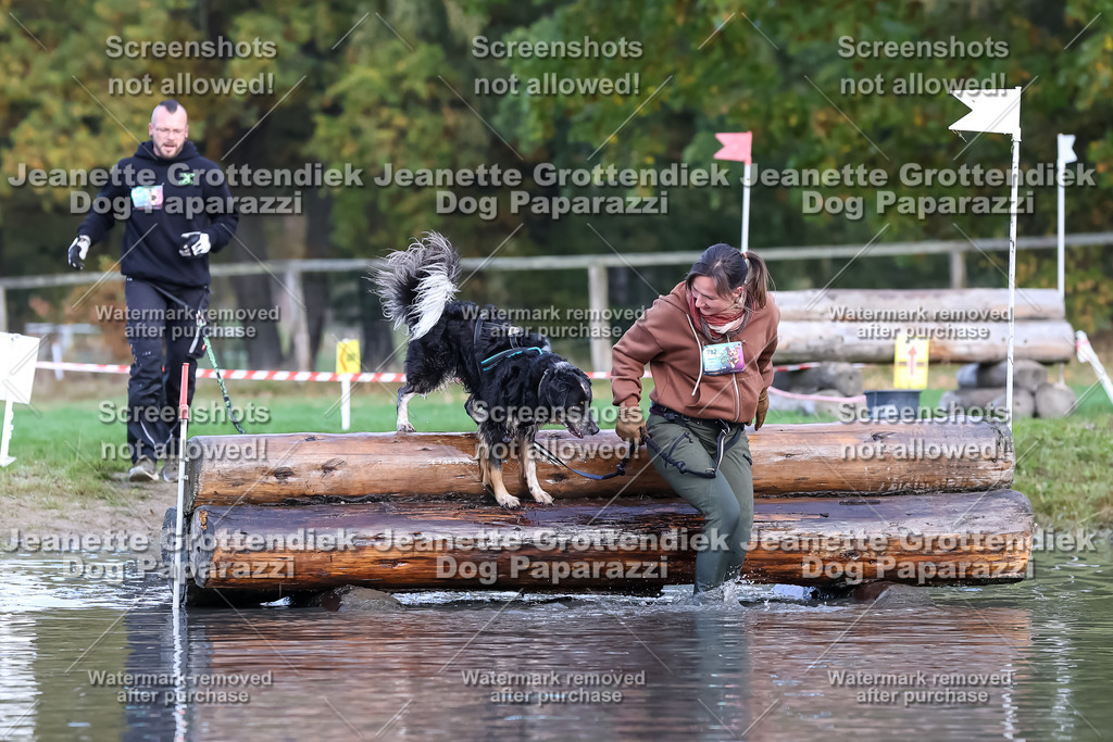 Dog Paparazzi - Strongdog 10-25-6936 | Dog Paparazzi Jeanette Grottendiek Fotografie & Videografie - Realisiert mit Pictrs.com