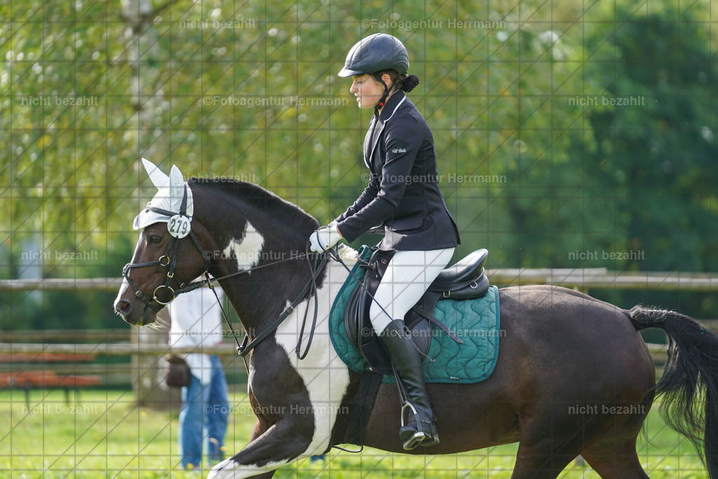 20230917-FAH09131 | Landsberg am Lech, 2023, Kaufbeuren, Kempten, Allgäu, Turnierfotografen Bayern, Fotoagentur Herrmann, Turnierbilder, Reitsport Fotos, Pferdefotograf, Augsburg, Bad Tölz, Dachau, Karlsfeld, Memmingen, Buchloe, Schwabmünchen