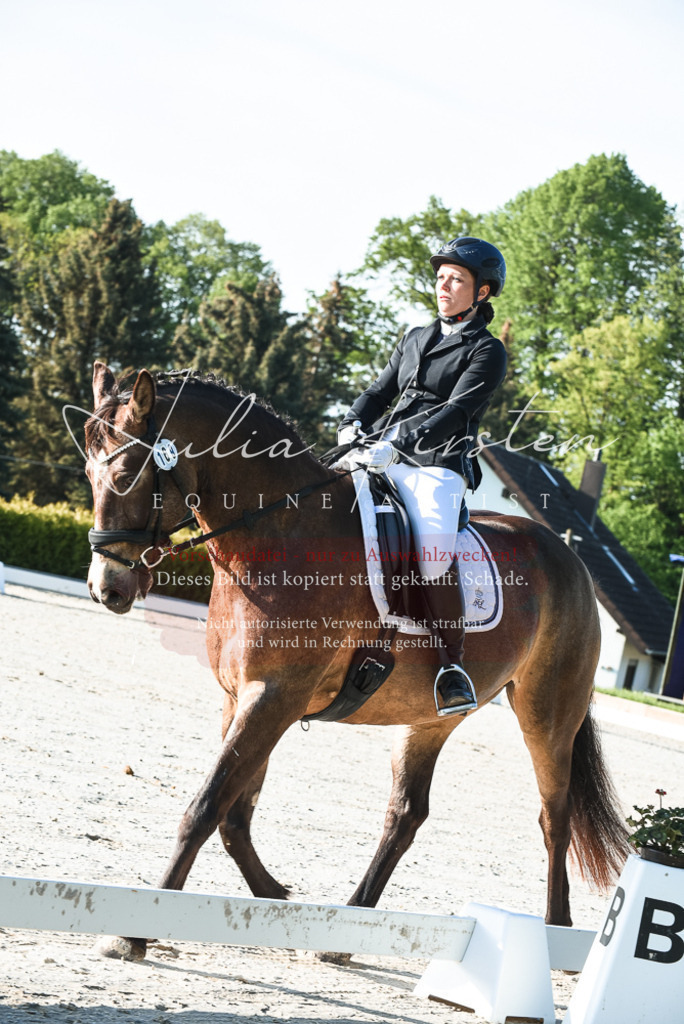 20230518_JK-Röhrsdorf-09-0041 | Pferde- und Turnierfotografie in Westsachsen. Pferdeportraits, Auftragszeichnungen und intuitive Kunst.