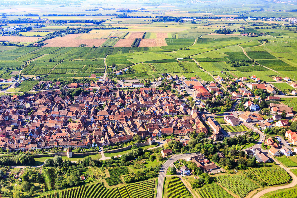 Vue aérienne: Vue de la ville depuis le nord à Bergheim dans le département Haut-Rhin, France – .Photo: IMG_093325.jpg prise le 16/08/2016 par Werner Riehm/FLY-FOTO.eu – Résolution de l'original: 4831 x 3221 px