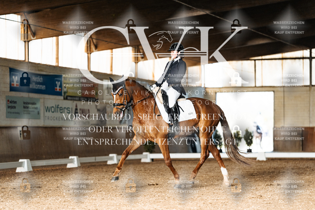 CK903145 | Turnierfotografie Pferdefotografie Trier Rheinland-Pfalz Pferdesport Reitsport Tierfotografie Sportfotografie Pferdevideo Pferdevideografie Equestrianvideography equestrianphotography  - Realisiert mit Pictrs.com