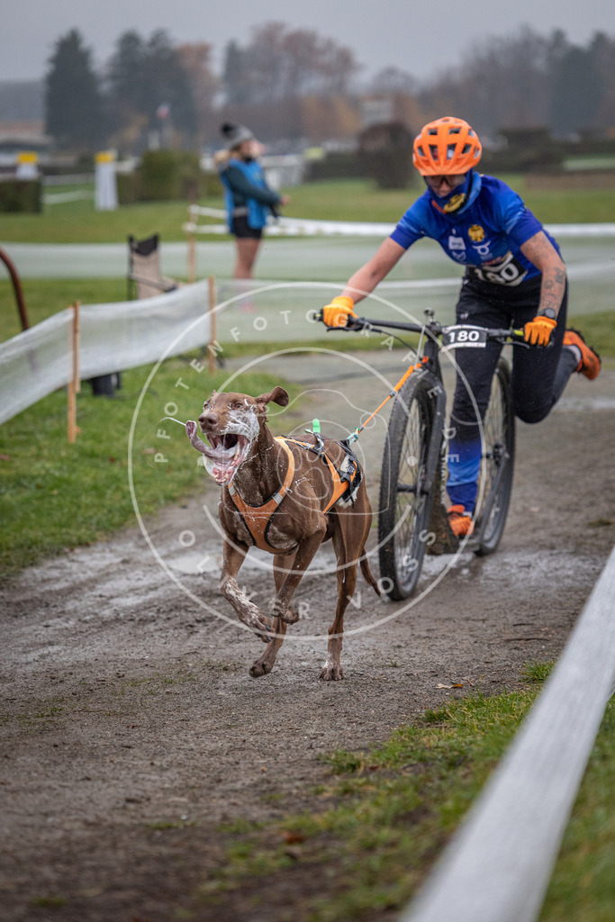 CaniXpix_0L8A0753 | Hundefotografie, Tierfotograf, Pfotenfotografie, Fotoshooting Hund, Hunde Portrait, Hundesport, Hundeportraits, Heideshooting, Hunde, Sportfotograf, Hundefotograf, Turnierhundsport, THS,  - Realisiert mit Pictrs.com