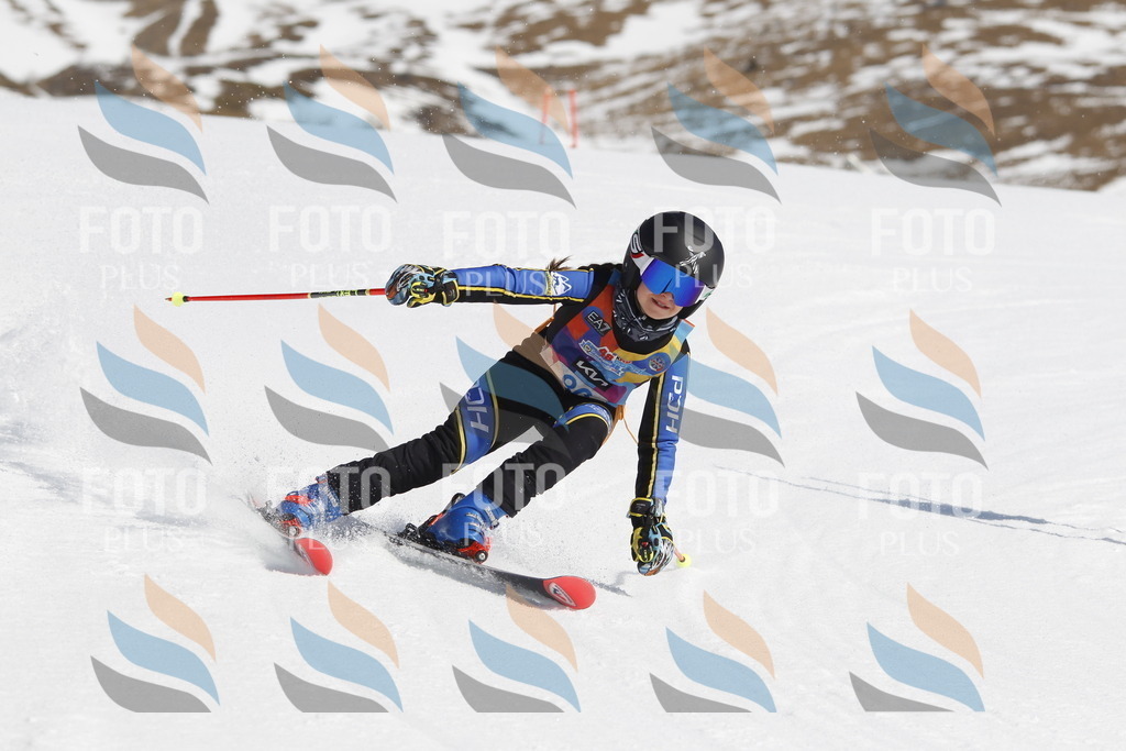 _U3G0092 | holidayphoto