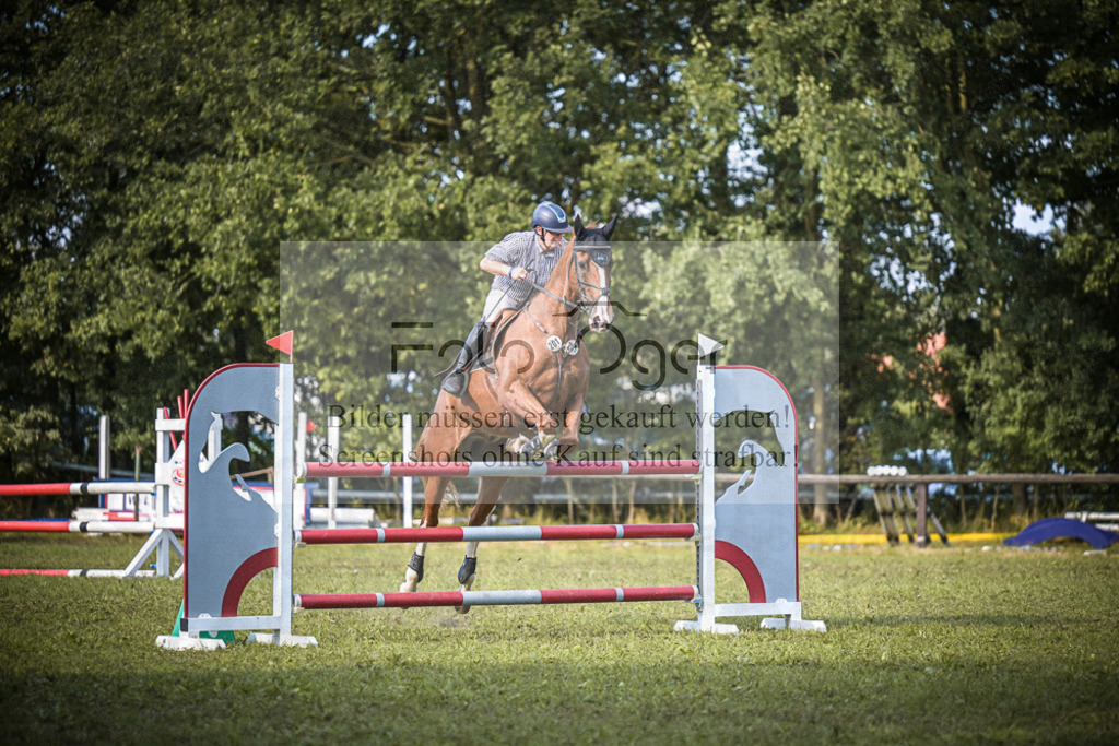 DOS_1402 | Entdecke hochwertige Reitturnierfotos von Foto Oger. Professionell, emotional und authentisch – jetzt Lieblingsmomente im Shop bestellen. - Realisiert mit Pictrs.com