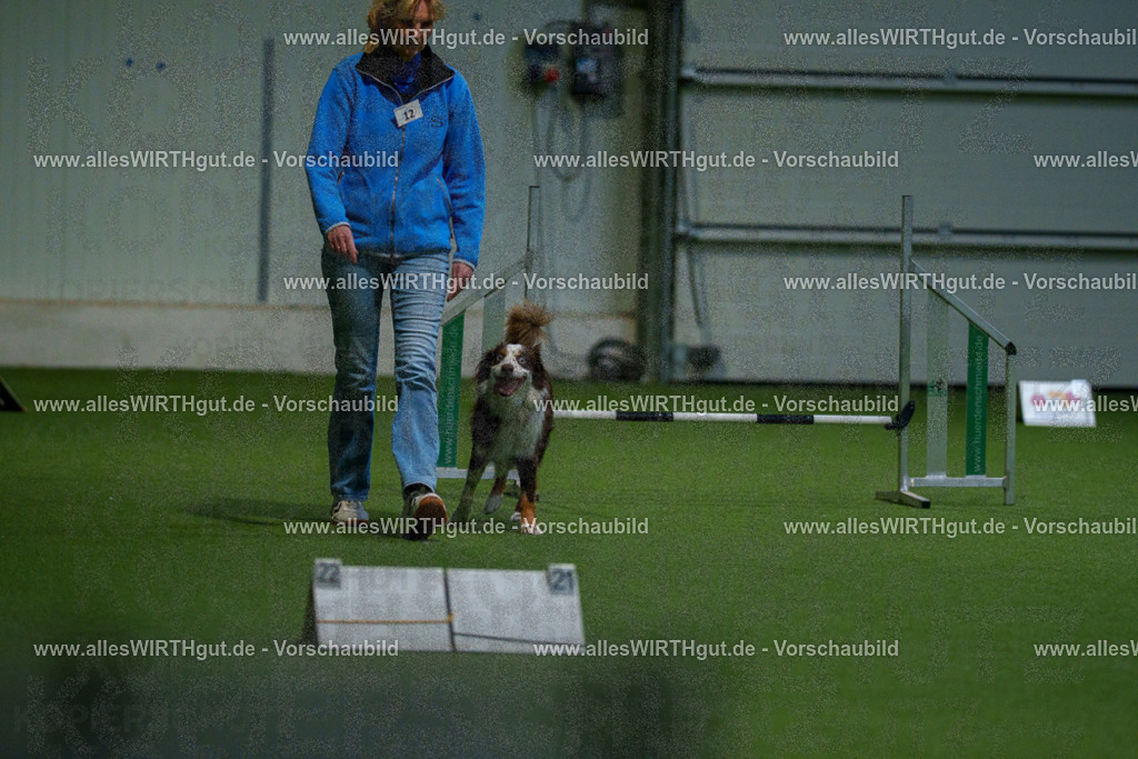 7R505117 | Professionelle Tierfotografie in Mönchengladbach von Daniel Wirth (allesWIRTHgut). Liebevolle & natürliche Bilder von Hunden & Katzen für unvergessliche Erinnerungen.