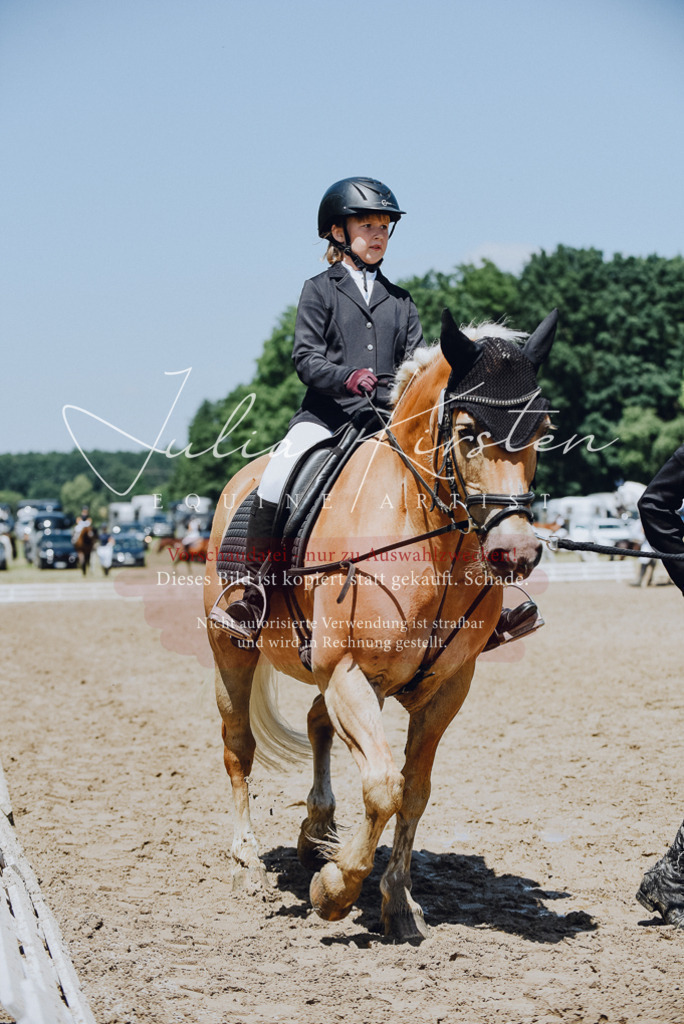 DSC_2193 | Pferde- und Turnierfotografie in Westsachsen. Pferdeportraits, Auftragszeichnungen und intuitive Kunst.