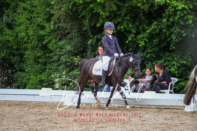DKP46287 | Turnierfotos kaufen im Webshop von Daniel Kuhl Photography – entdecke professionelle Reitsportfotos aus Turnieren & Events. Hochwertige Turnierbilder online bestellen & sichern. Jetzt Fotos von Reitsportturnieren kaufen!