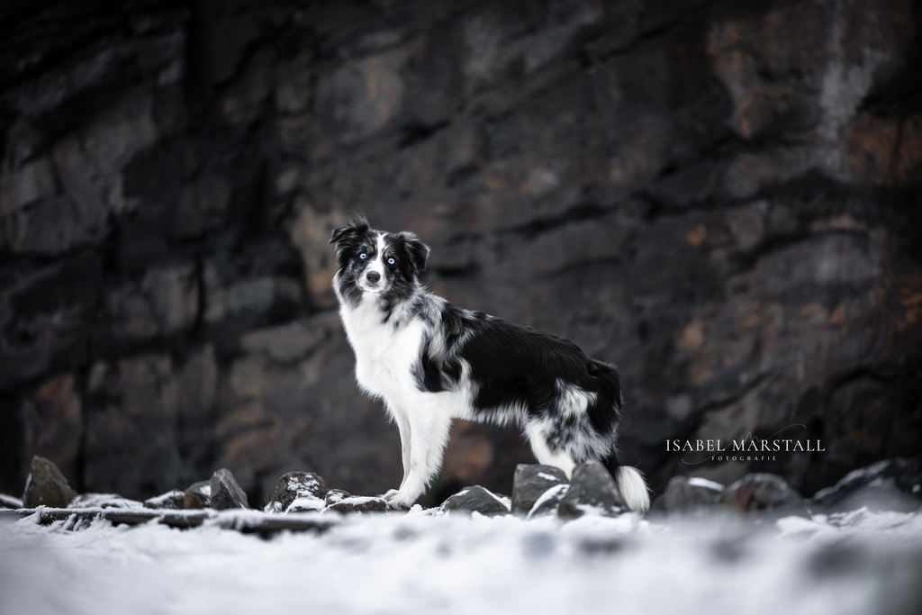 IM_115 | Isabel Marstall Fotografie - Realisiert mit Pictrs.com