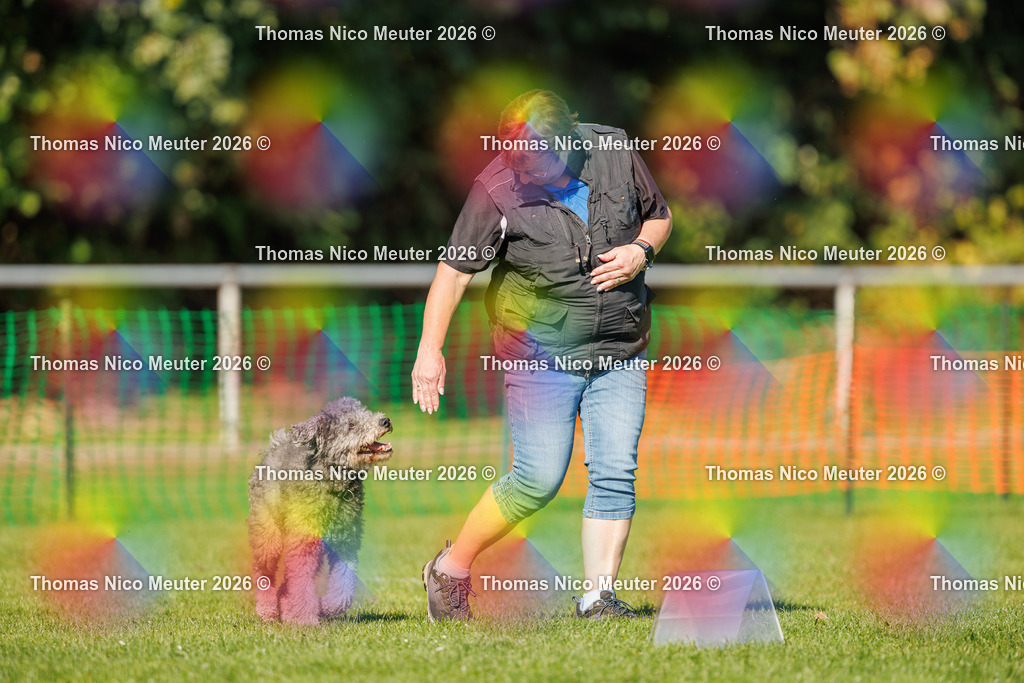 Thomas_Nico_Meuter(C)_04. Oktober 2026_223A3018 | Bild von Thomas Nico Meuter - Realisiert mit Pictrs.com