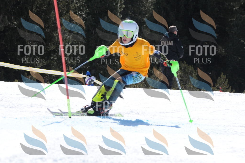 C9334 | holidayphoto